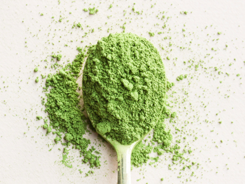Matcha: Just a Trend or a Wellness Powerhouse? 🍵