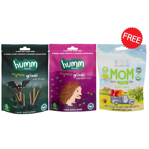 Bundle - Section 📦