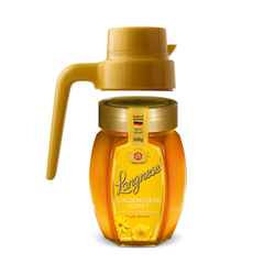 Langnese Bee Honey 500g With Pourer