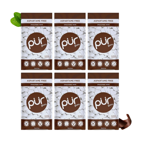 Pur Gum Chocolate Mint Bag Of 55 Gums