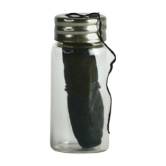 Plant a universe Dental Floss