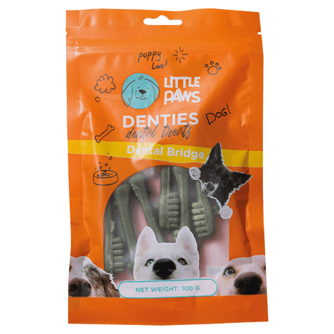 Dental Bridge Mint treat