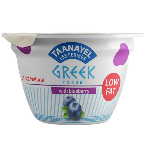 Taanayel Low Fat Greek Yogurt Blueberry