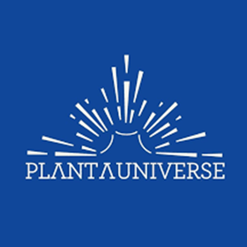 Plant a universe